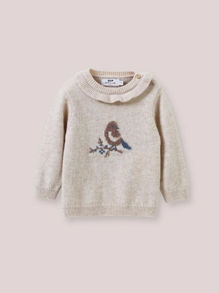 Baby Baby Girl Cyrillus BirdMotif Sweater With Frilly Neckline Beige Chine
