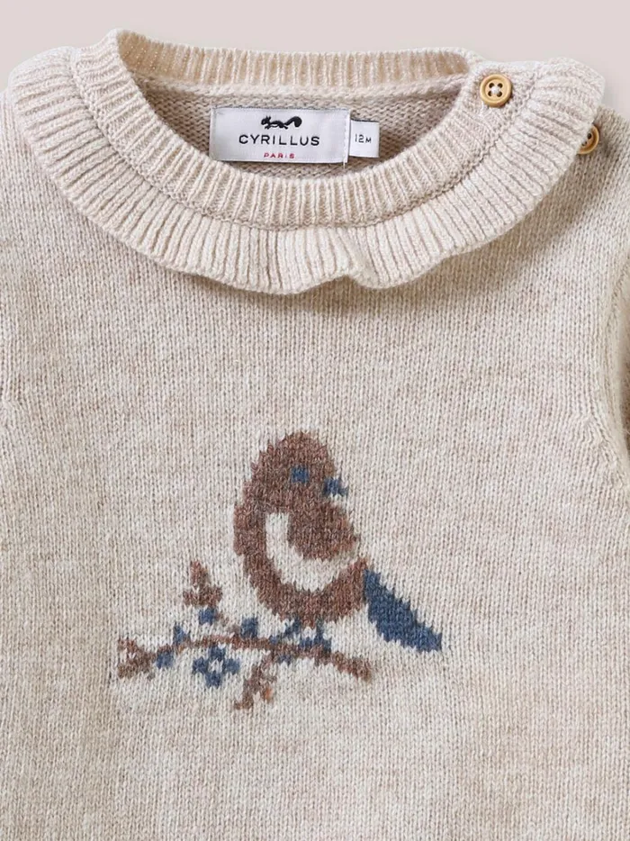 Baby Baby Girl Cyrillus BirdMotif Sweater With Frilly Neckline Beige Chine