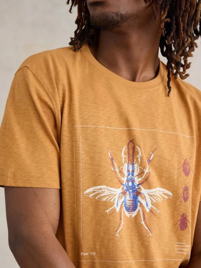 Men TSHIRTS White Stuff Beetle Graphic Tee Tan Print