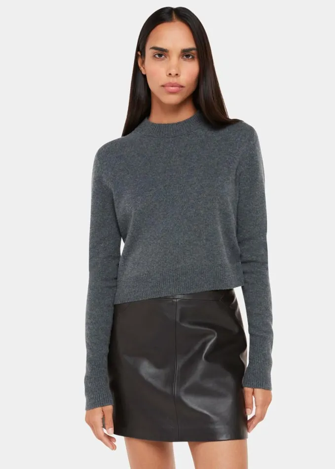 Whistles Leather A Line Skirt Black Women Skirts