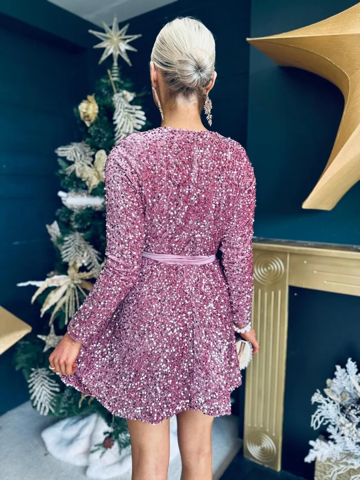 Women Day Dress Canella Lane Jane Velvet Sequin Mini Dress Mauve