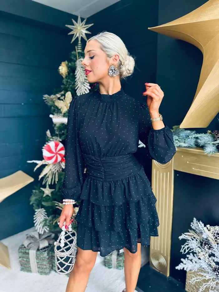 Women Day Dress Canella Lane Sally High Neck Mini Dress Black