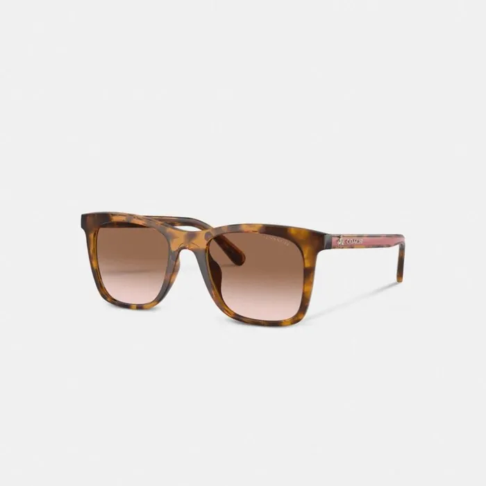 Women Disney X Coach Striped Square Sunglasses Dark Tortoise Coral Coach Eyewear