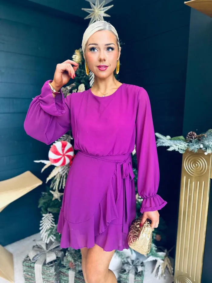 Women Evening Dress Canella Lane Roisin Detailed Mini Berry