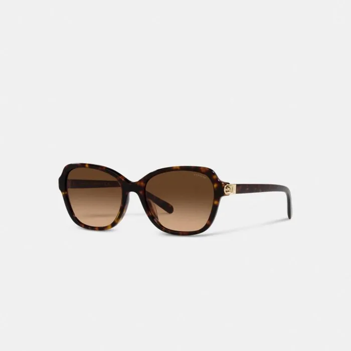 Women Hinged Horse And Carriage Square Sunglasses Dark Tortoise Coach Eyewear