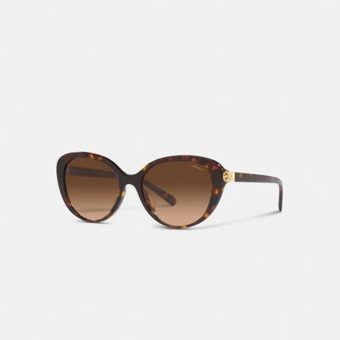 Women Horse And Carriage Cat Eye Sunglasses Dark Tortoise Coach Eyewear