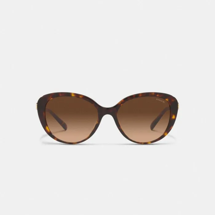 Women Horse And Carriage Cat Eye Sunglasses Dark Tortoise Coach Eyewear
