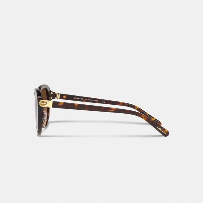 Women Horse And Carriage Cat Eye Sunglasses Dark Tortoise Coach Eyewear