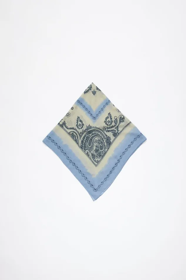 Women Print Light Wool Scarf Dusty Beigelight Blue Acne Studios Scarves