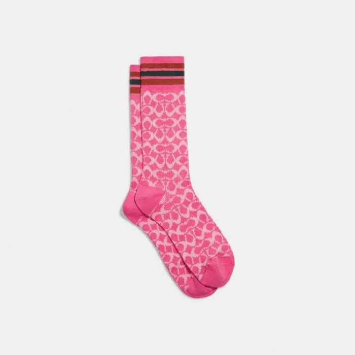 Women Signature Socks Confetti Pink Coach Hats Scarves and Gloves